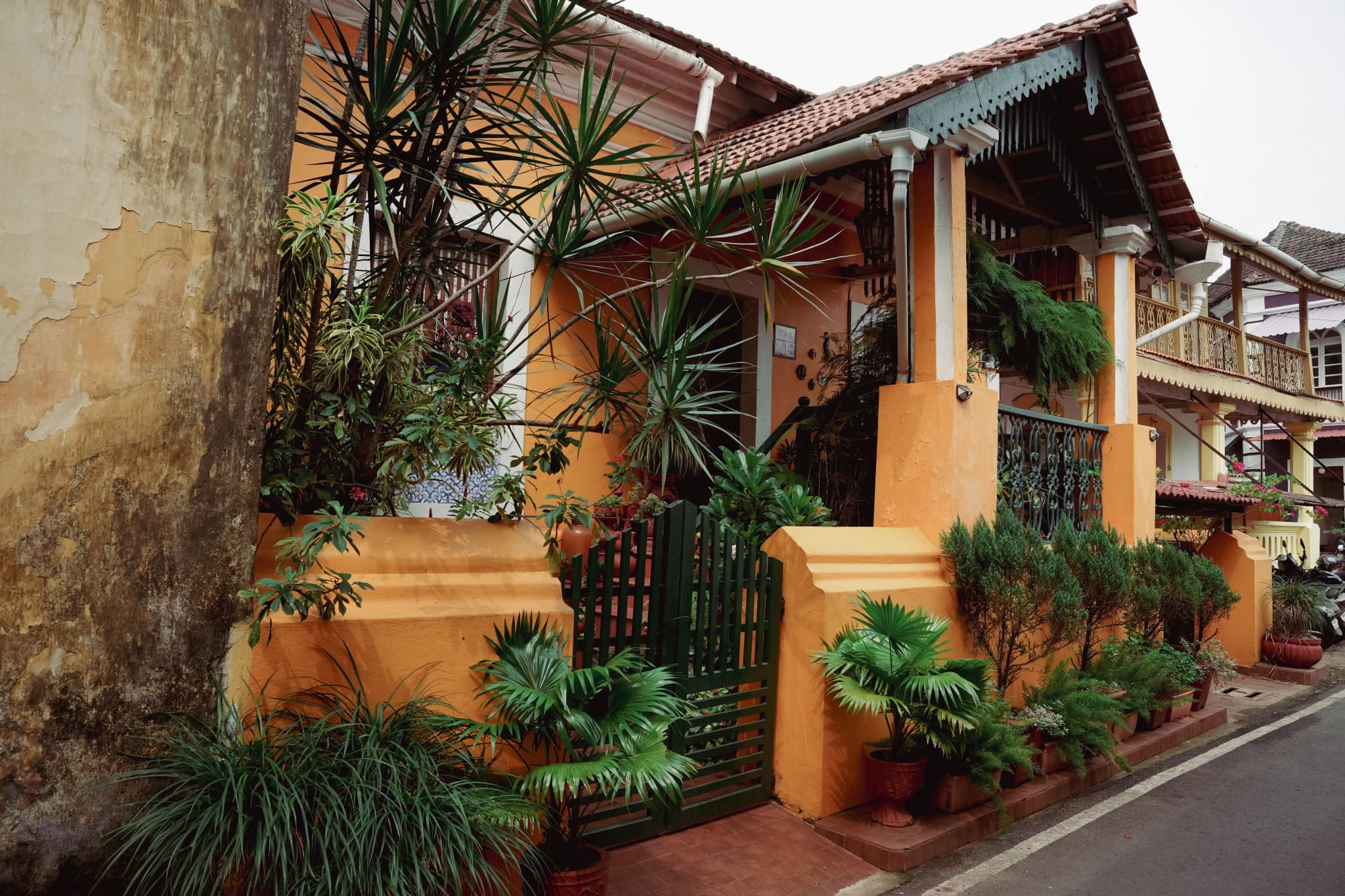 Ochre house with a tiled roof, potted palms and a green gate along a quiet street